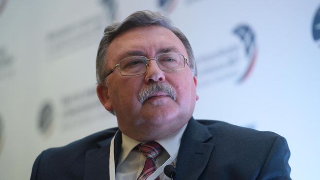 Страны ЕС закрывают глаза на атаки Киева на ядерные объекты, заявил Ульянов